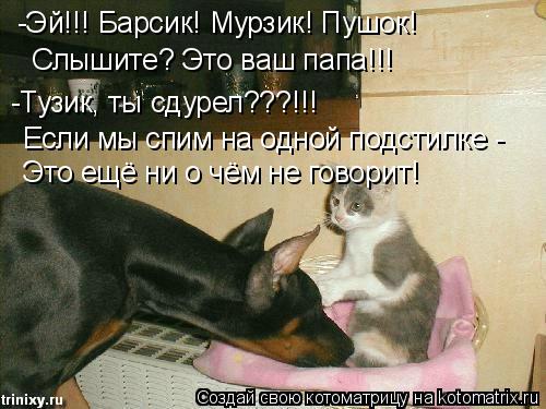 -Эй!!! Барсик! Мурзик! Пушок! Слышите? Это ваш папа!!! -Тузик, ты сдурел???!!! Если мы спим на одной ... Котоматрица: -Эй!!! Барсик! Мурзик! Пушок! Слышите? Это ваш папа!!! -Тузик, ты сдурел???!!! Если мы спим на одной подстилке - Это ещё ни о чём не говорит!