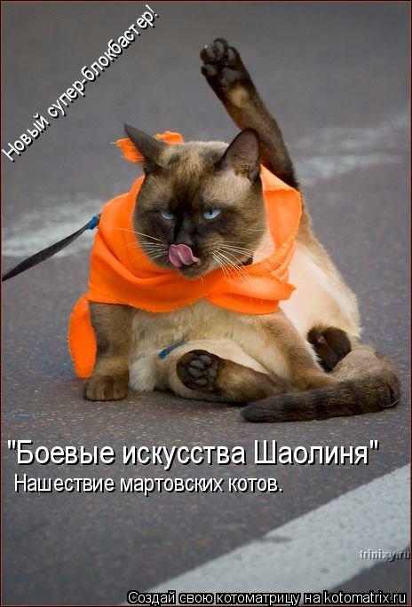 Котоматрица: "Боевые искусства Шаолиня" Новый супер-блокбастер! Нашествие мартовских котов.