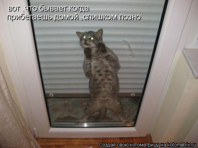 вот ,что бывает когда прибегаешь домой слишком позно вот ,что бывает когда прибегаешь домой слишком п... Котоматрица: вот ,что бывает когда прибегаешь домой слишком позно вот ,что бывает когда прибегаешь домой слишком позно вот ,что бывает когда прибегаешь