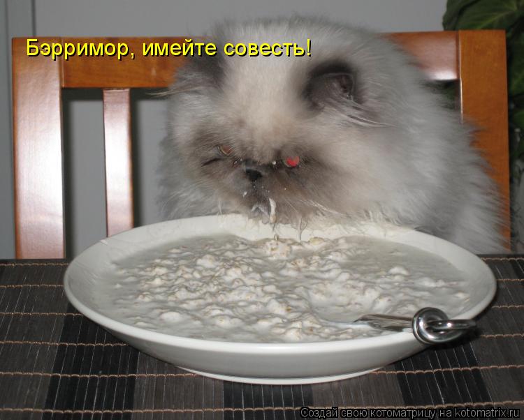 Бэрримор, имейте совесть!... Котоматрица: Бэрримор, имейте совесть!