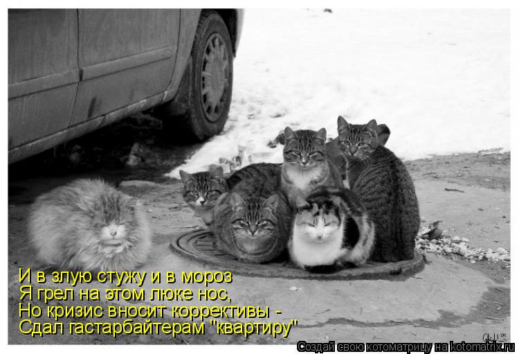 И в злую стужу и в мороз Я грел на этом люке нос, Но кризис вносит коррективы - Сдал гастарбайтерам ... Котоматрица: И в злую стужу и в мороз Я грел на этом люке нос, Но кризис вносит коррективы - Сдал гастарбайтерам "квартиру"