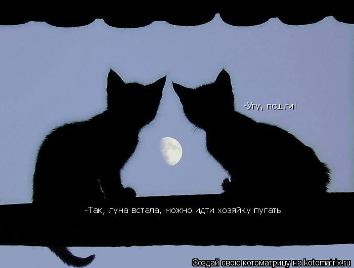 -Так, луна встала, можно идти хозяйку пугать -Угу, пошли! -Угу, пошли! -Угу, пошли! -Угу, пошли!... Котоматрица: -Так, луна встала, можно идти хозяйку пугать -Угу, пошли! -Угу, пошли! -Угу, пошли! -Угу, пошли!