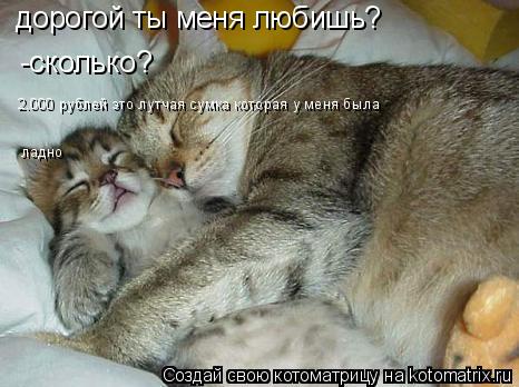 дорогой ты меня любишь? -сколько? 2.000 рублей это лутчая сумка которая у меня была ладно... Котоматрица: дорогой ты меня любишь? -сколько? 2.000 рублей это лутчая сумка которая у меня была ладно