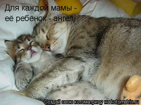 Для каждой мамы - её ребёнок - ангел!... Котоматрица: Для каждой мамы - её ребёнок - ангел!