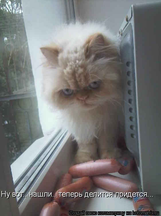 Ну вот.. нашли.. теперь делится придется...... Котоматрица: Ну вот.. нашли.. теперь делится придется...