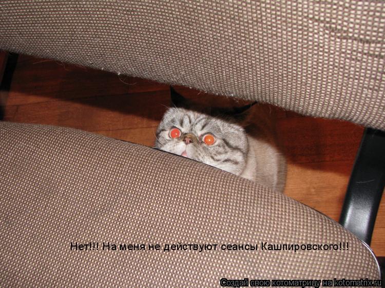 Котоматрица: Нет!!! На меня не действуют сеансы Кашпировского!!!