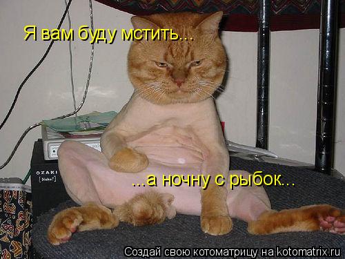 Котоматрица: Я вам буду мстить... ...а ночну с рыбок...