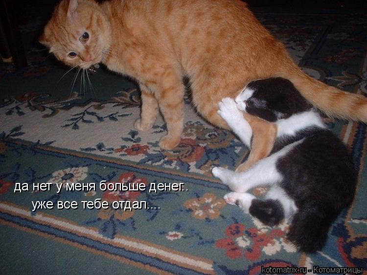 Котоматрица: да нет у меня больше денег..  уже все тебе отдал....