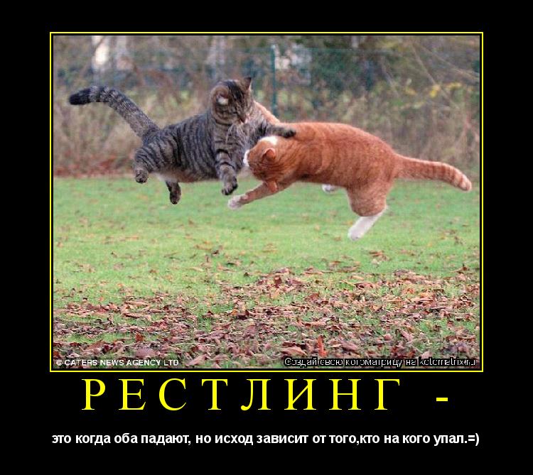 Котоматрица: рестлинг - это когда оба падают, но исход зависит от того,кто на кого упал.=)
