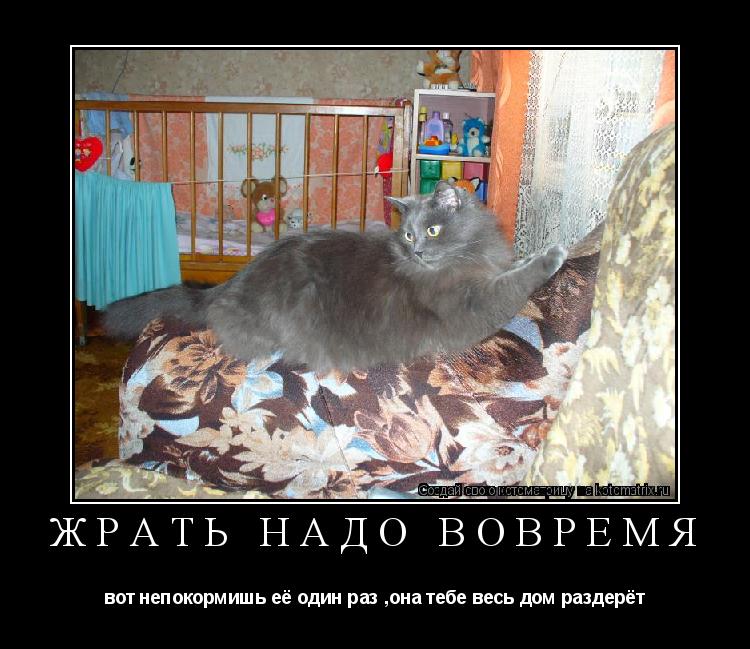 Котоматрица: жрать надо вовремя вот непокормишь её один раз ,она тебе весь дом раздерёт