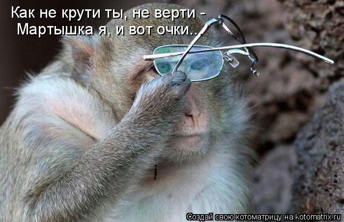 Котоматрица: Как не крути ты, не верти - Мартышка я, и вот очки...