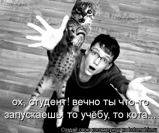 ох, студент! вечно ты что-то запускаешь: то учёбу, то кота...... Котоматрица: ох, студент! вечно ты что-то запускаешь: то учёбу, то кота...