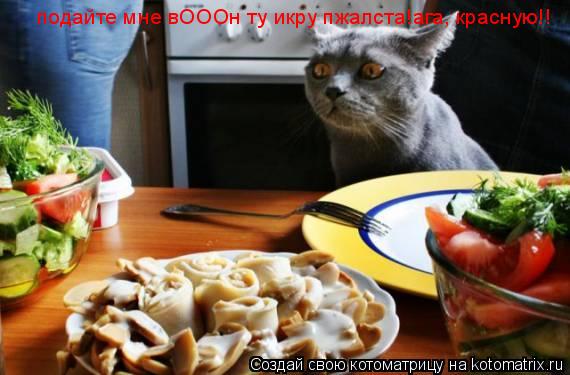 Котоматрица: подайте мне вОООн ту икру пжалста!ага, красную!! подайте мне вОООн ту икру пжалста!ага, красную!!