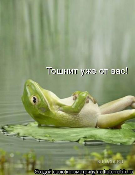 Котоматрица: Тошнит уже от вас!