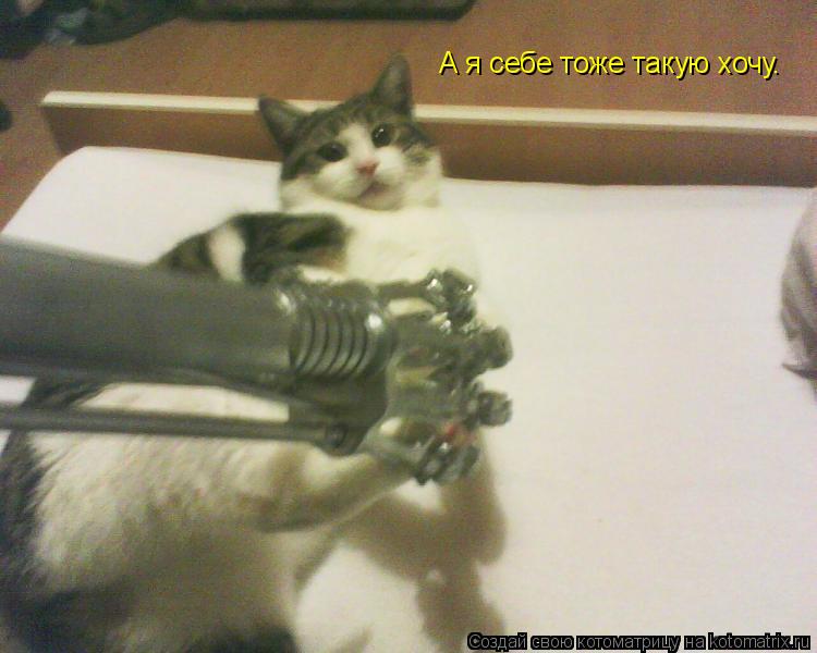 Котоматрица: А я себе тоже такую хочу.