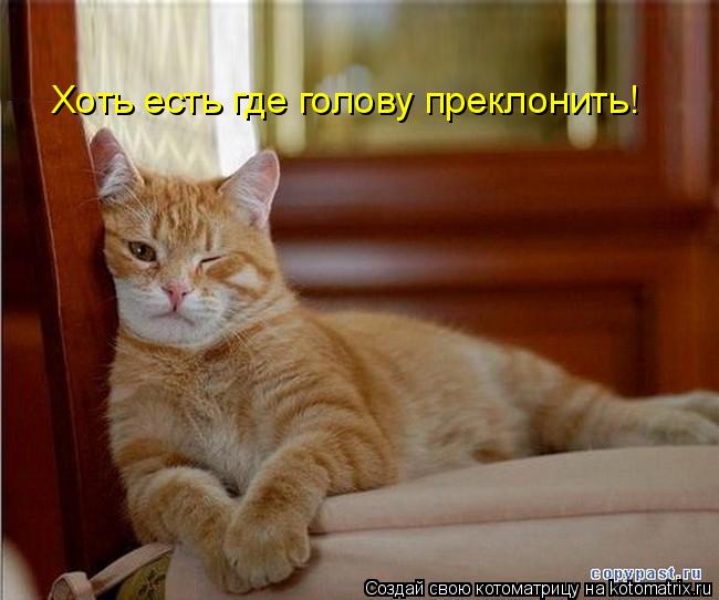 Котоматрица: Хоть есть где голову преклонить!