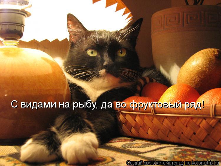 Котоматрица: С видами на рыбу, да во фруктовый ряд!