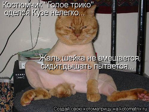 Котоматрица: Костюмчик "Голое трико" оделся Кузе нелегко... Жаль,шейка не вмещается, сидит,дышать пытается...