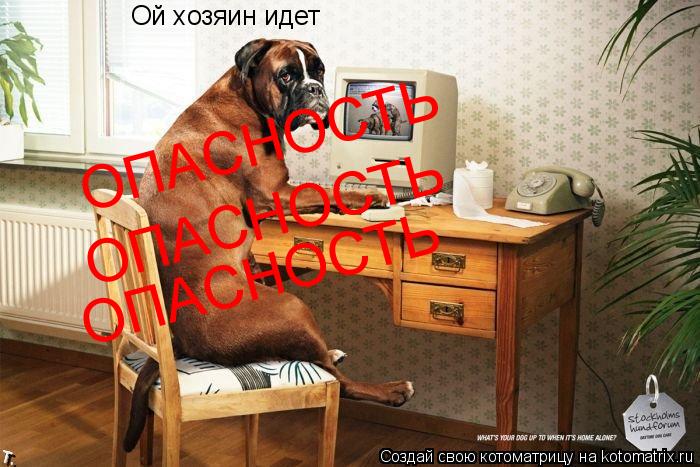 Котоматрица: Ой хозяин идет ОПАСНОСТЬ ОПАСНОСТЬ ОПАСНОСТЬ