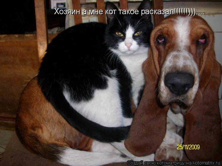 Котоматрица: Хозяин а мне кот такое расказал!!!!!!)))....