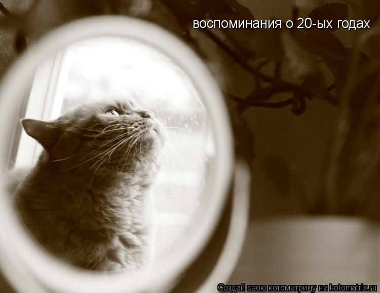 Котоматрица: воспоминания о 20-ых годах