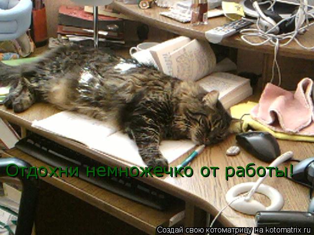 Котоматрица: Отдохни немножечко от работы!