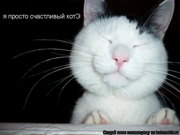я просто счастливый котЭ... Котоматрица: я просто счастливый котЭ