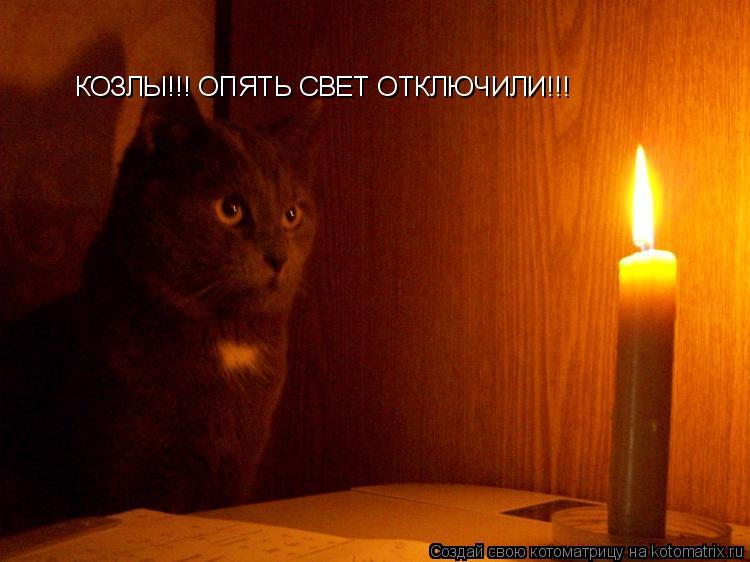 Котоматрица: КОЗЛЫ!!! ОПЯТЬ СВЕТ ОТКЛЮЧИЛИ!!!