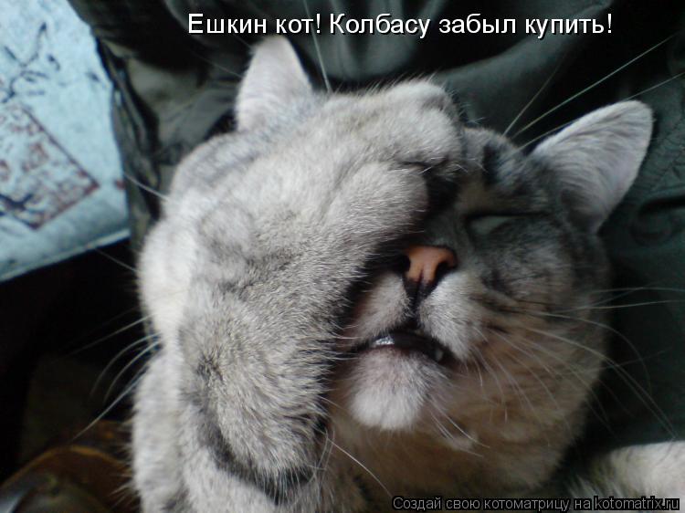Ешкин кот! Колбасу забыл купить!... Котоматрица: Ешкин кот! Колбасу забыл купить!