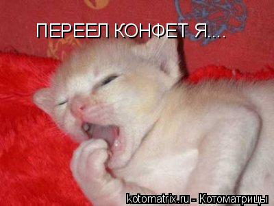 ПЕРЕЕЛ КОНФЕТ Я....... Котоматрица: ПЕРЕЕЛ КОНФЕТ Я....