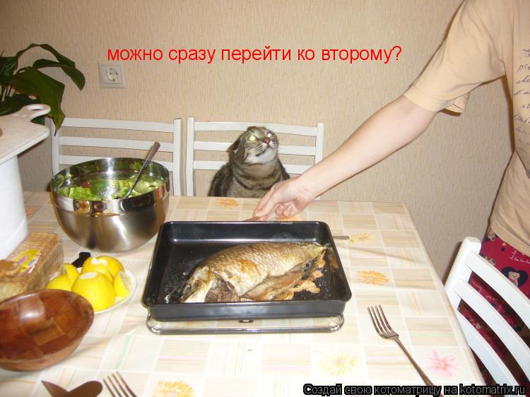 можно сразу перейти ко второму?... Котоматрица: можно сразу перейти ко второму?