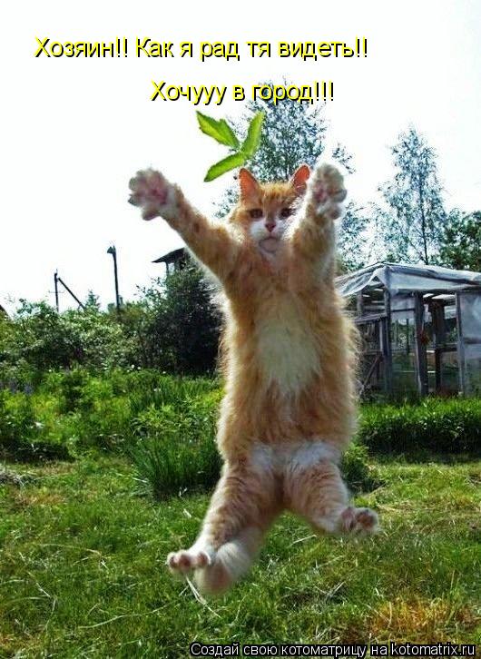 Котоматрица: Хозяин!! Как я рад тя видеть!! Хочууу в город!!!