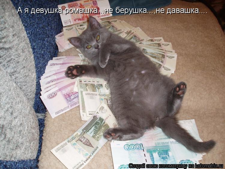 Котоматрица: А я девушка ромашка...не берушка...,не давашка....