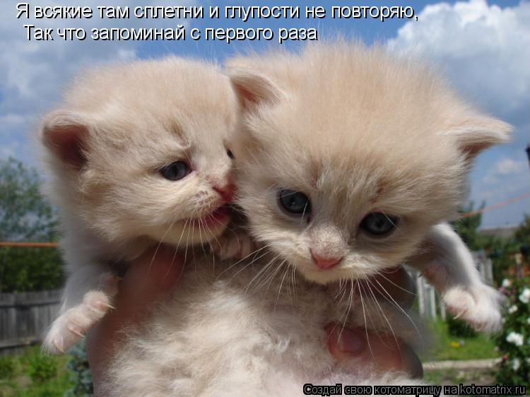 Котоматрица: Так что запоминай с первого раза Я всякие там сплетни и глупости не повторяю,