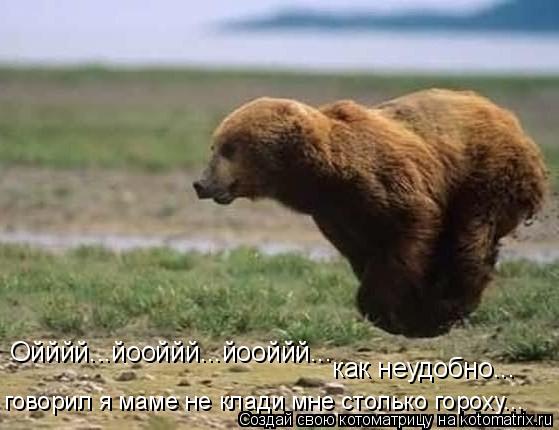 Котоматрица: Ойййй...йооййй...йооййй... как неудобно... говорил я маме не клади мне столько гороху...