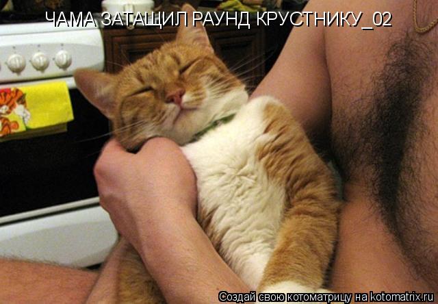 Котоматрица: ЧАМА ЗАТАЩИЛ РАУНД КРУСТНИКУ_02