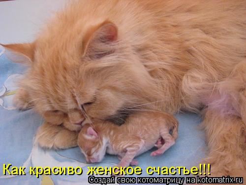 Котоматрица: Как красиво женское счастье!!!