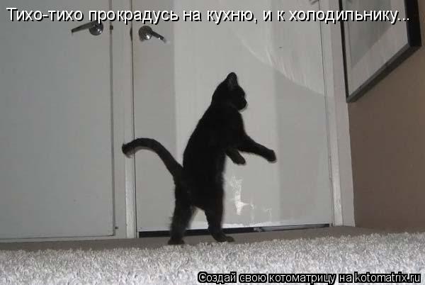 Котоматрица: Тихо-тихо прокрадусь на кухню, и к холодильнику...