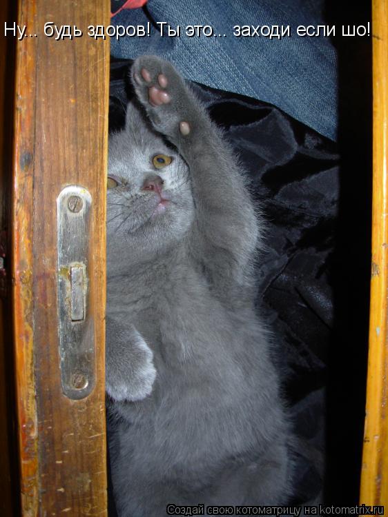 Котоматрица: Ну... будь здоров! Ты это... заходи если шо!