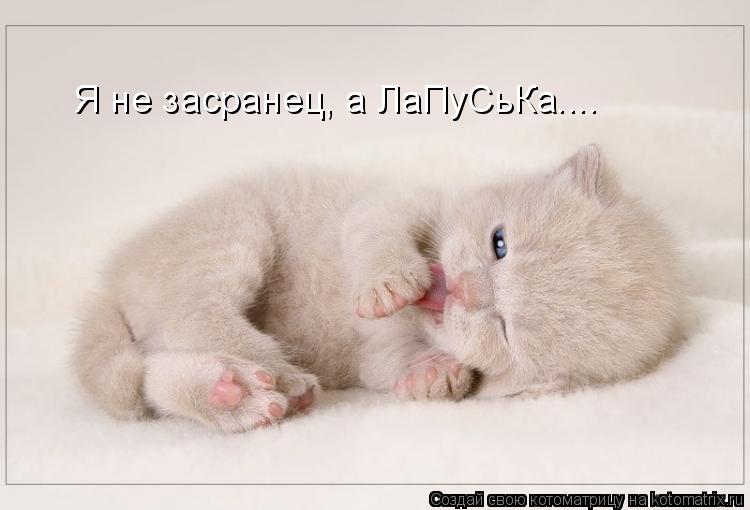 Котоматрица: Я не засранец, а ЛаПуСьКа....
