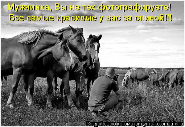 Все самые красивые у вас за спиной!!! Мужчинка, Вы не тех фотографируете!... Котоматрица: Все самые красивые у вас за спиной!!! Мужчинка, Вы не тех фотографируете!