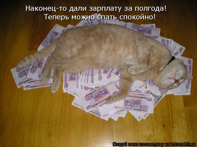 Наконец-то дали зарплату за полгода! Теперь можно спать спокойно!... Котоматрица: Наконец-то дали зарплату за полгода! Теперь можно спать спокойно!