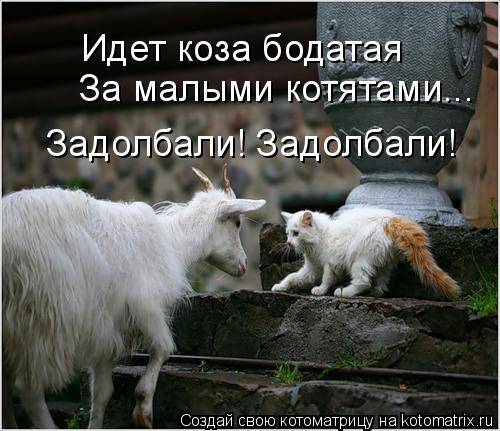 Котоматрица: Идет коза бодатая За малыми котятами... Задолбали! Задолбали!