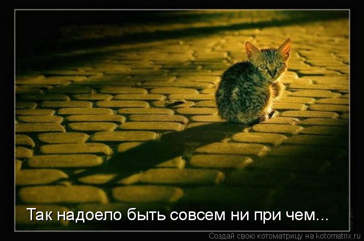 Так надоело быть совсем ни при чем...... Котоматрица: Так надоело быть совсем ни при чем...
