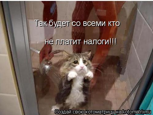 Котоматрица: Так будет со всеми кто  не платит налоги!!!