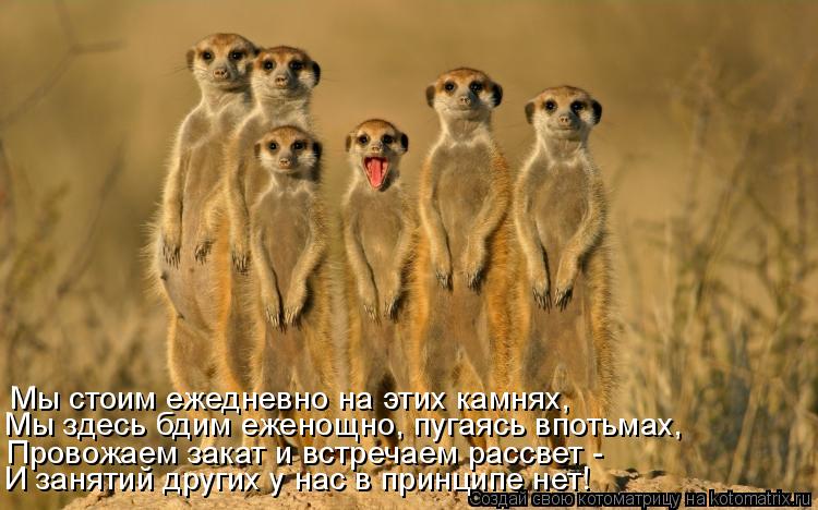 Мы стоим ежедневно на этих камнях, Провожаем закат и встречаем рассвет - Мы здесь бдим еженощно, пуга... Котоматрица: Мы стоим ежедневно на этих камнях, Провожаем закат и встречаем рассвет - Мы здесь бдим еженощно, пугаясь впотьмах, И занятий других у нас в п