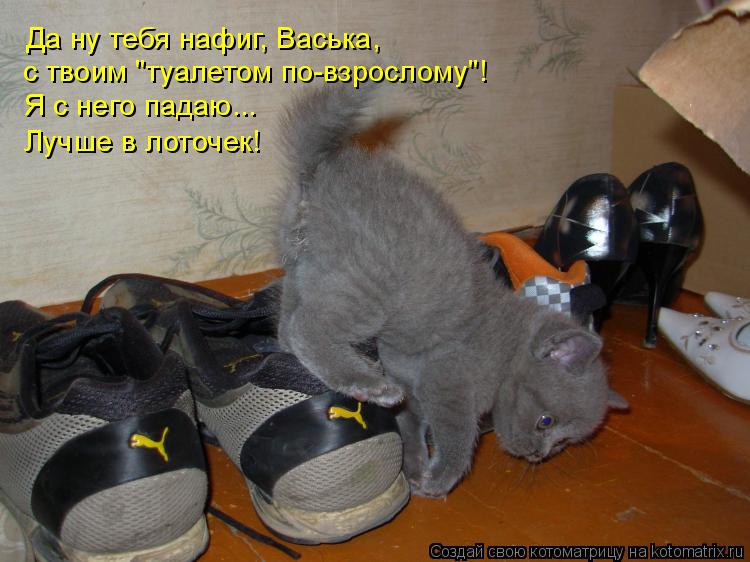 Да ну тебя нафиг, Васька, с твоим "туалетом по-взрослому"! Я с него падаю... Лучше в лоточек!... Котоматрица: Да ну тебя нафиг, Васька, с твоим "туалетом по-взрослому"! Я с него падаю... Лучше в лоточек!