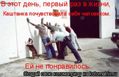 Котоматрица: В этот день, первый раз в жизни,  Каштанка почувствовала себя человеком. Ей не понравилось.