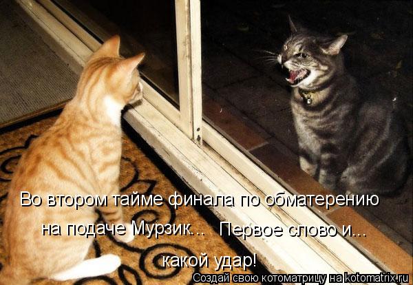 Котоматрица: Во втором тайме финала по обматерению  на подаче Мурзик... Первое слово и... какой удар!
