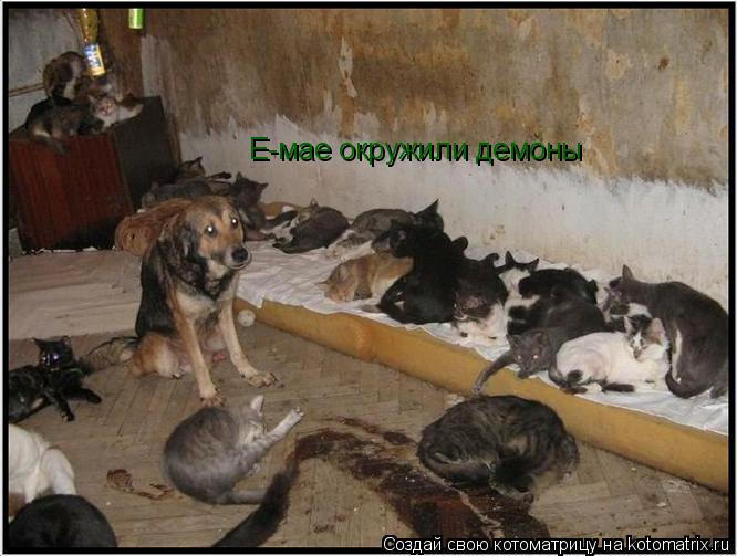 Котоматрица: Е-мае окружили демоны Е-мае окружили демоны